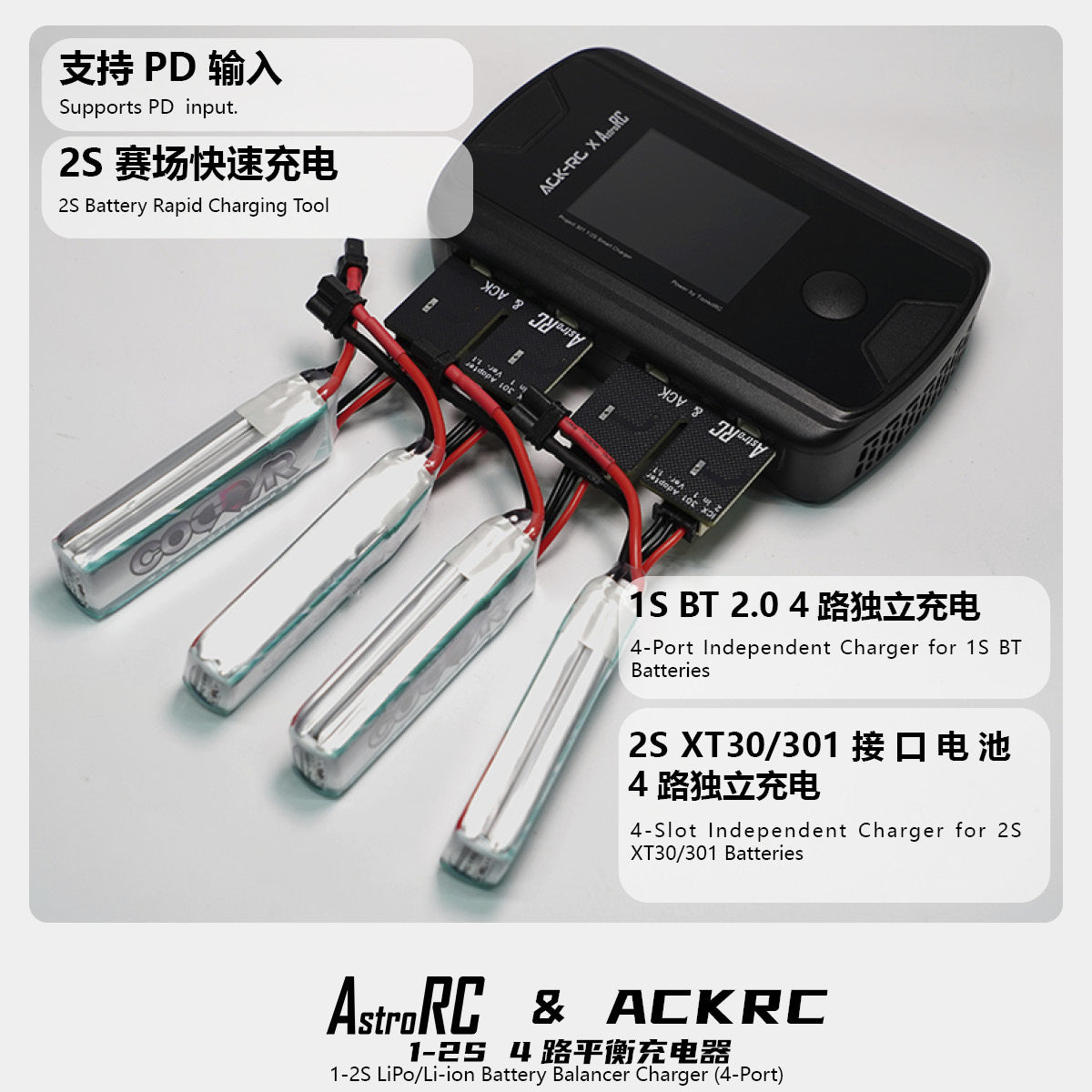 【Project 301 】Project 301 battery/ Charger and others