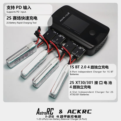 【Project 301 】Project 301 battery/ Charger and others